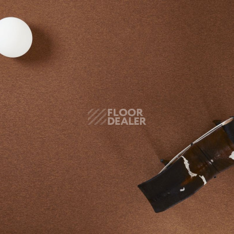 Bloq Tradition Tradition 605 фото 3 | FLOORDEALER